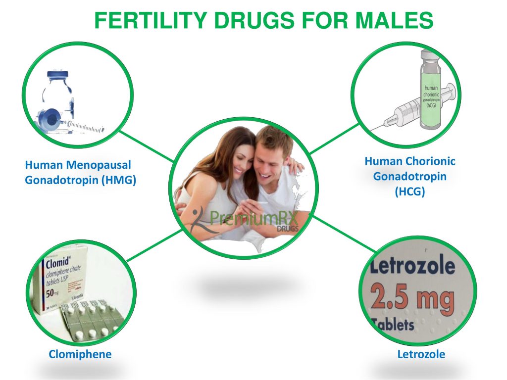 men fertility drugs