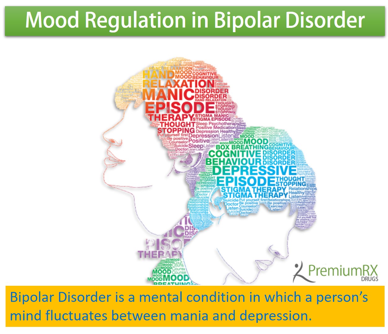 Mood Regulation in Bipolar Disorder