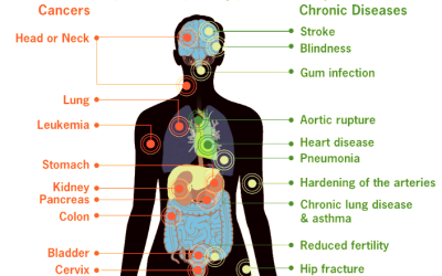 How Smoking Affects Your Health?