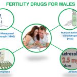men fertility drugs