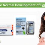 Human Chorionic Gonadotropic Function
