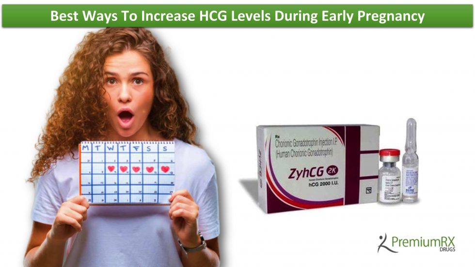 Best Ways To Increase HCG Levels During Early Pregnancy PremiumRx