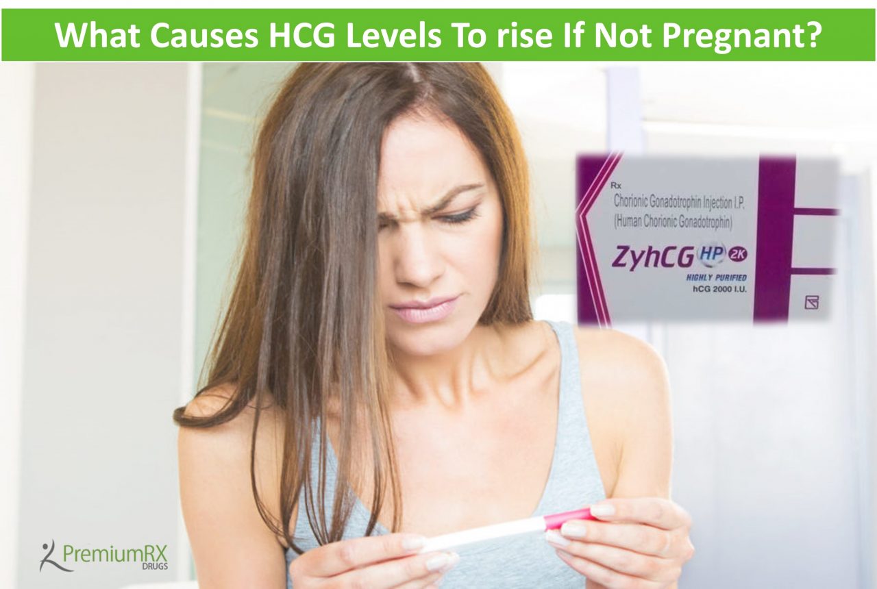 What Causes HCG Levels To Rise If Not Pregnant PremiumRx Online 