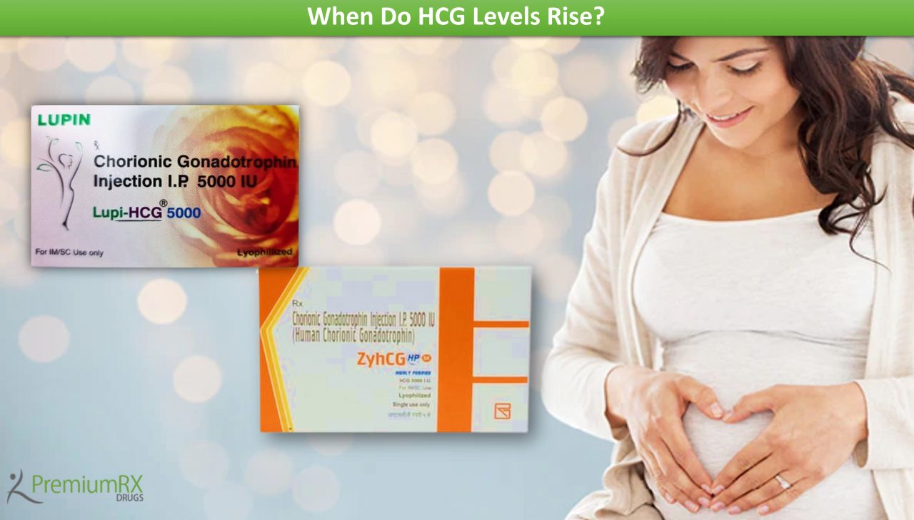 When Do HCG Levels Rise PremiumRx Online Pharmacy