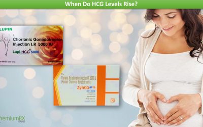 When Do HCG Levels Rise?