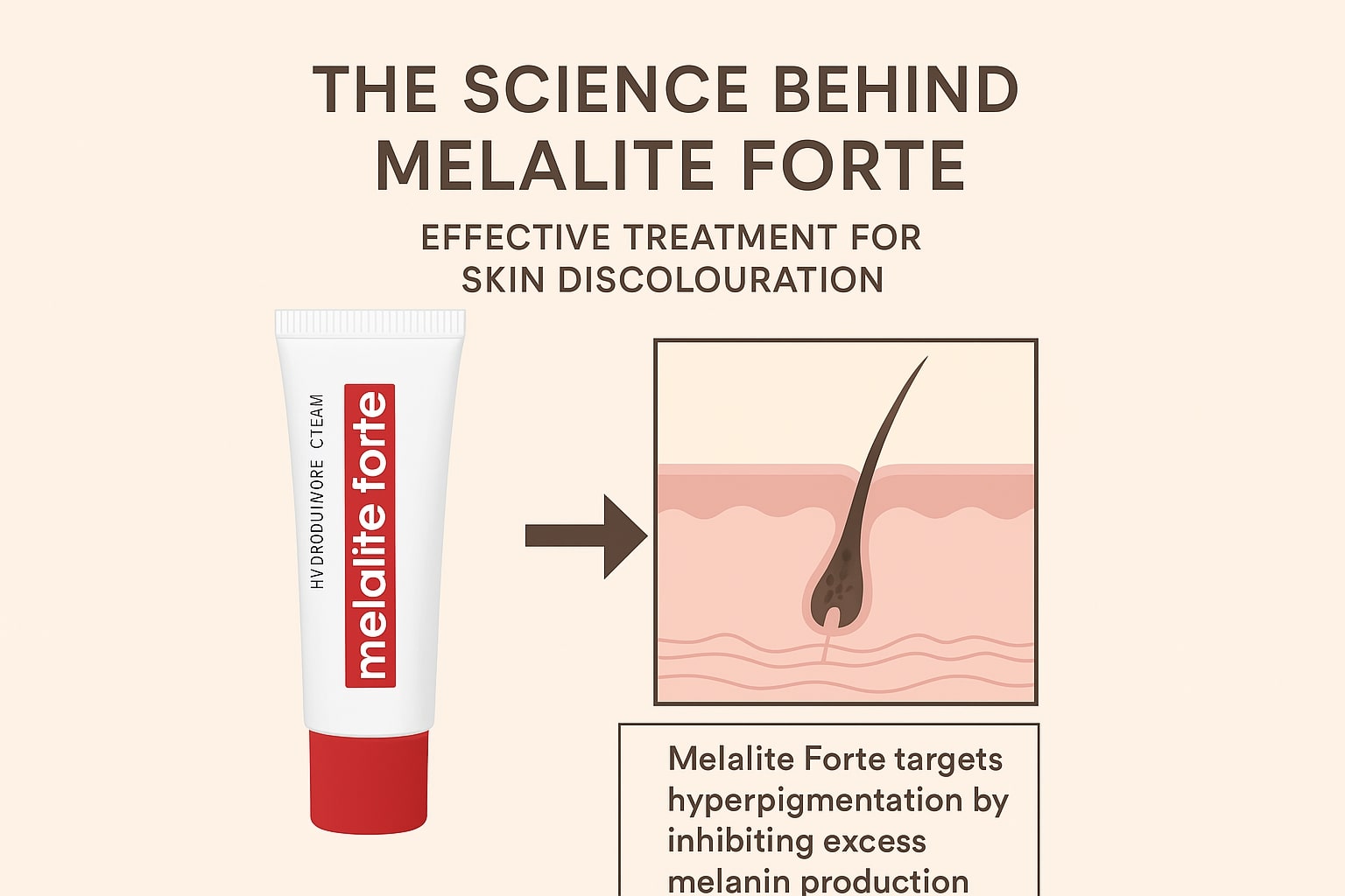 melalite_forte The Science Behind Melalite Forte” showing a tube of Melalite Forte cream and an illustration of how it targets skin pigmentation