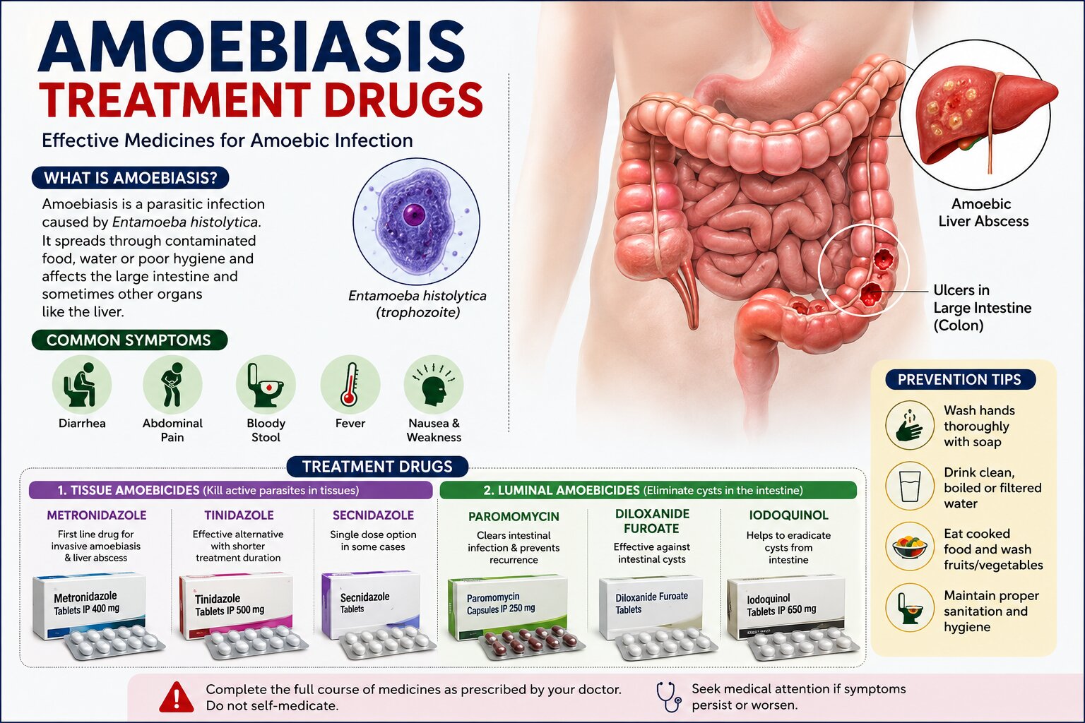 amoebiasis moebiasis treatment drugs, symptoms, causes, intestinal infection by Entamoeba histolytica