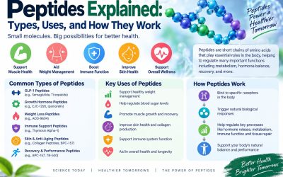 Peptides Explained: Types, Uses, and How They Work