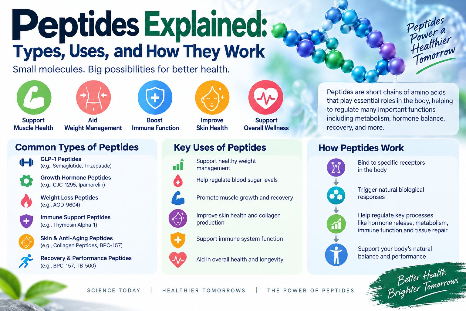 Peptides explained: types, uses, and how peptides work